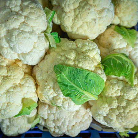 Picture for category Cauliflower/ ফুলকপি