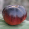 Picture of TB002. গ্রীক কালো টমেটো (50)/Greek Black Tomato