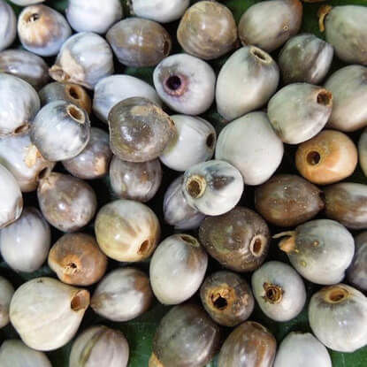 Picture of HBN230. প্রাকৃতিক তসবীহ দানা #কুরিয়ার ফ্রি[Min Order 4(This Item Or Any)] ১০০/=অগ্রীম