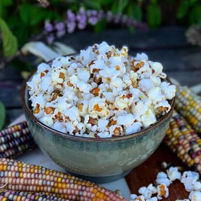 Picture of CNP904. মাল্টিকালার পপকর্ণ (40)/Multicolor Popcorn