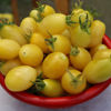 Picture of TY999. হাজারী আঙ্গুর চেরী টমেটো (15)/Hajari Angur Cherry Tomato
