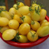 Picture of TY999. হাজারী আঙ্গুর চেরী টমেটো (30)/Hajari Angur Cherry Tomato