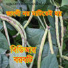 Picture of YLB006. বিডিআর বরবটি (40)/BDR Yard Long Bean