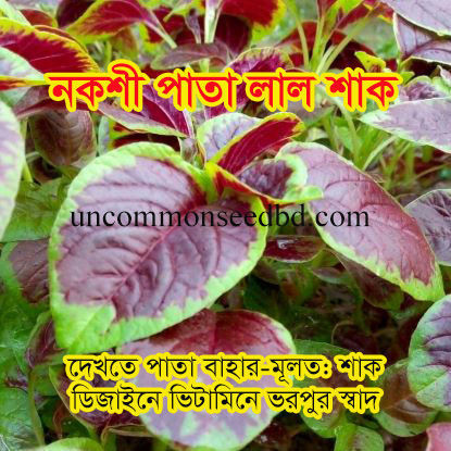 Picture of LAD300. নকশী পাতা লাল শাক (5)/Designed Leafy Amaranth