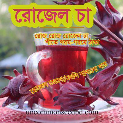 Picture of HBR415. রোজেল চা #কুরিয়ার ফ্রি[Min Order 4(This Item Or Any)] ১০০/=অগ্রীম