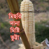 Picture of CNS006. Misri Dana Sweet Corn / মিছরি দানা মিষ্টি ভুট্টা