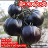 Picture of TB002. গ্রীক কালো টমেটো (50)/Greek Black Tomato