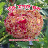 Picture of FCB310. রক্ত মগজ ফুল (40)/Rokto Mogoj Flower