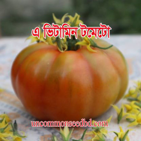 Picture for category এ ভিটামিন টমেটো/A Vitamin Tomato