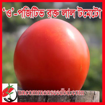 Picture of TM900. ও পজিটিভ রক্ত লাল টমেটো (30)/O Positive Blood Red Tomato