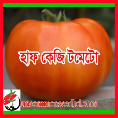 Picture of ATM500. হাফ কেজি টমেটো (25)/Half Kg Tomato