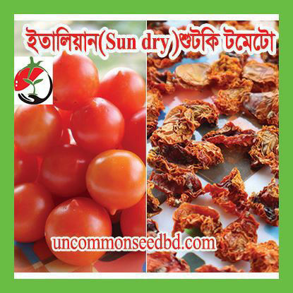 Picture of ATM512. ইতালিয়ান শুটকি টমেটো #কুরিয়ার ফ্রি[Min Order 4(This Item Or Any)] ১০০/=অগ্রীম