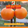 Picture of TO800. দেশী কুসুম টমেটো (20)/Deshi Kusum Tomato