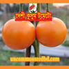 Picture of TY200. দেশী কুসুম টমেটো (20)/Deshi Kusum Tomato