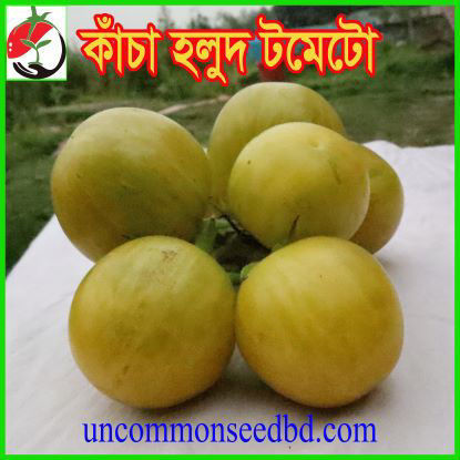 Picture of ATD077. কাঁচা হলুদ টমেটো (30)/Kacha Holud Tomato