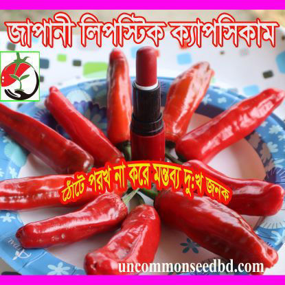Picture of PPS801. Japanese Lipsteak Capsicum / জাপানী লিপস্টিক ক্যাপসিকাম