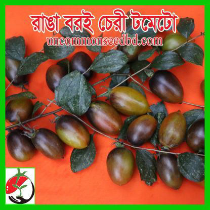 Picture of TS501. রাঙা বরই চেরী টমেটো (15)/Ranga Boroi Cherry Tomato