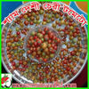 Picture of TM544. শ্যাম দেশী চেরী টমেটো (60)/Sham Deshi Cherry Tomato