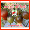 Picture of TS507. হাজার পাওয়ার রঙে চুবানো চেরী টমেটো (15)/1000 Power Ronge Chubano Cherry Tomato