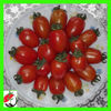 Picture of TM522. টোনা-টুনি চেরী টমেটো (60)/Tona-Tuni Cherry Tomato
