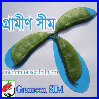 Picture of BN017. গ্রামীণ সীম (40)/Grameen Country Bean