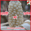 Picture of CN032. হোয়াইট ডেন্টাল কর্ণ (50)/White Dental Corn