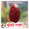 Picture of CN900. স্ট্রবেরি পপকর্ণ (30)/Strawberry Popcorn