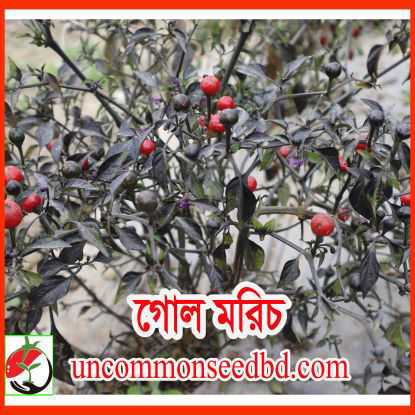 Picture of PPH099. গোল মরিচ (40)/Round Chilli