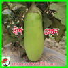 Picture of EG512. বাঁশ বেগুন #কুরিয়ার ফ্রি[Min Order 4(This Item Or Any)] ১০০/=অগ্রীম