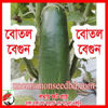 Picture of EG511.  বোতল বেগুন (100)/Bottle Brinjal