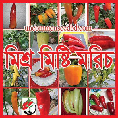 Picture of PPS814. মিশ্র মিষ্টি মরিচ (25)/Mixed Capsicum