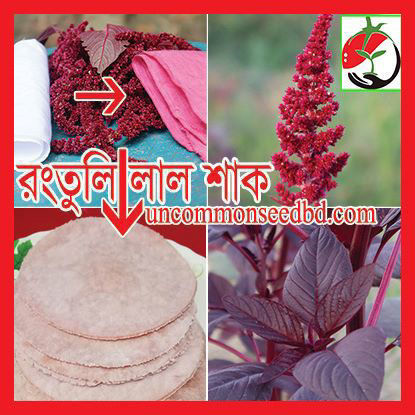 Picture of LAR311. রংতুলি লাল শাক (5)/Rongtuli Red Amaranth