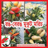 Picture of HP406. রঙ-বেরঙ মুকুট মরিচ (20)/Rong-Berong(Colorful)Mukut Chilli