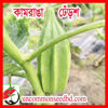 Picture of OKK555. Kamranga Okra / কামরাঙা ঢেঁড়শ