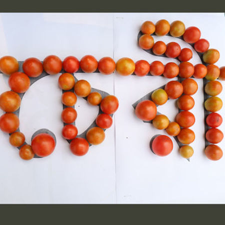 Picture for category চেরী টমেটোর রকম-ফের/Various Varieties of Cherry tomato