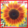 Picture of FSF220. Ring Light (Boloy Bati) Sunflower / বলয় বাতি সূর্যমুখী ফুল