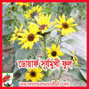 Picture of FSF001. Dwarf Sunflower / ডোয়ার্ফ সূর্যমুখী ফুল