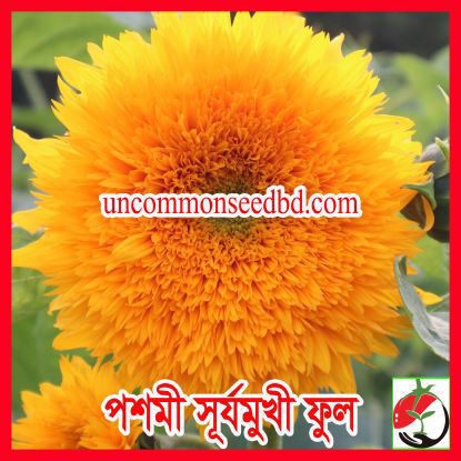 Picture of FSF500. পশমী সূর্যমুখী ফুল (15)/Woolen Sunflower