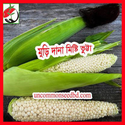 Picture of CN005. মুড়ি দানা মিষ্টি ভুট্টা (50)/Muri Dana Sweet Corn