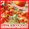 Picture of ATM008. চাইনিজ  অক্টোপাস টমেটো #কুরিয়ার ফ্রি[Min Order 4(This Item Or Any)] ১০০/=অগ্রীম
