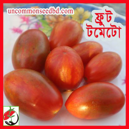 Picture of ATD010.টমেটো ফল (15)/Fruit Tomato