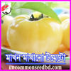 Picture of ATW288. (Makhon Makhano) White Tomato/মাখন মাখানো টমেটো