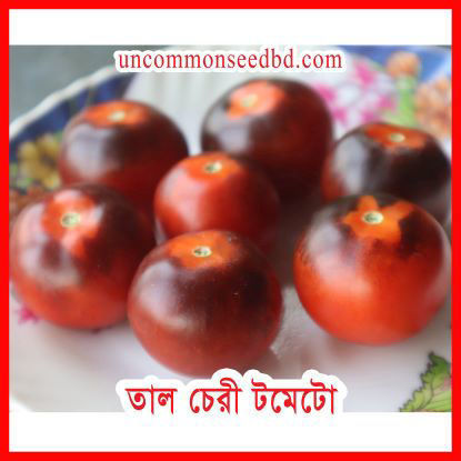 Picture of ATS590. তাল চেরী টমেটো (30)/Tal Cherry Tomato