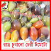 Picture of ATS507. রঙে চুবানো চেরী টমেটো #কুরিয়ার ফ্রি[Min Order 4(This Item Or Any)] ১০০/=অগ্রীম