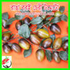 Picture of TS501. রাঙা বরই চেরী টমেটো (15)/Ranga Boroi Cherry Tomato