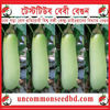 Picture of EC907. টেস্ট টিউব বেবী বেগুন (100)/Test tube Baby Brinjal