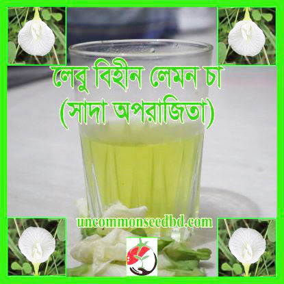 Picture of FBP407. White Aparajita / শঙ্খ সাদা অপরাজিতা