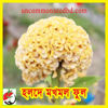 Picture of FCB330. হলদে মখমল ফুল (30)/Holde Mokhmol Flower