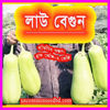 Picture of EG512. Brinjal like Bottle Gourd/লাউ বেগুন
