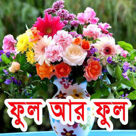Picture for category Flowers / ফুল আর ফুল